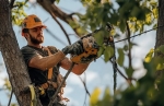 EastLake Tree Services