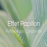 Effet Papillon Chantal Depatie