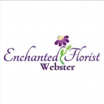 Enchanted Florist - Webster Flowers