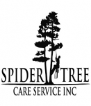 Spiders Tree Care Service