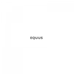 Equus Brand Consultants Pte Ltd