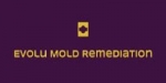Evolu Mold Remediation