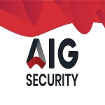 AIG Security