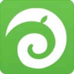 Fairhead Creative LLC