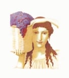 Fattoria di Montemaggio