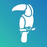 Toucan Marketing and Consulting