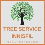 Tree Care Innisfil