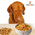 FurrMeals
