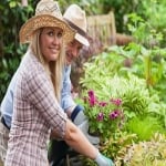 Gardening Muswell Hill