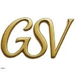 Generative Search Visibility™