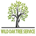 Round Rock Tree Experts