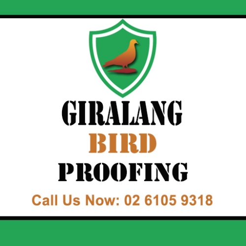 Giralang Bird Proofing