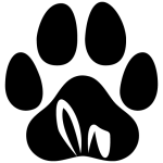 Glam Fur Spa Grooming Studio