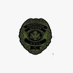 HALL SECURITY PROFESSIONAL SERVICES