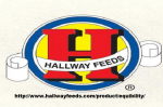 Hall Way Feed