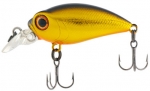 Harten Hengel Outdoor