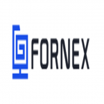 Fornex Hosting S.L.