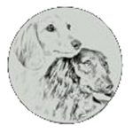 Honeyman's Miniature Dachshunds