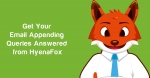 HyenaFox's Link Centre