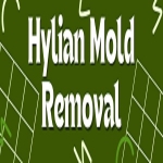 Hylian Mold Removal