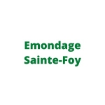 Emondage Sainte-Foy