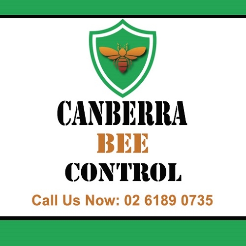 Canberra Bee Control