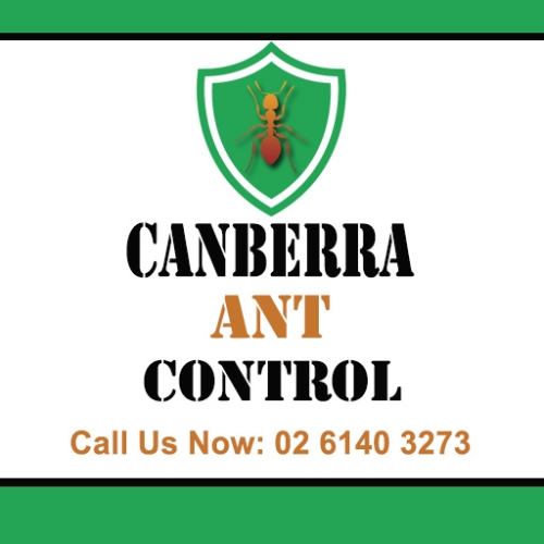 Canberra Ant Control