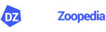 Digital Zoopedia Sdn Bhd