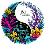 The Chlorophyll Corner