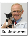 Anderson Animal Hospital