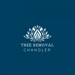 Tree Removal Chandler