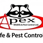 apex wildlife and pest control