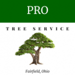 Pro Tree Service