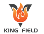 KING FIELD ELECTRONIC CO.LTD ( SHEN ZHEN )