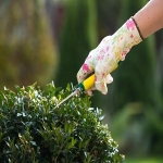 Landscapers Knightsbridge