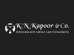 K.N.Kapoor and Co.