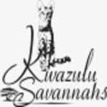Kwazulu Savannahs