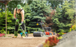 Cupertino Landscaping