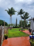 P&amp;P Landscaping and Tree Service