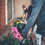 The Landscaping Company Cambridge