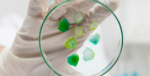 Legionella Testing LTD