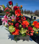 Lesly flowers Gurnee llc