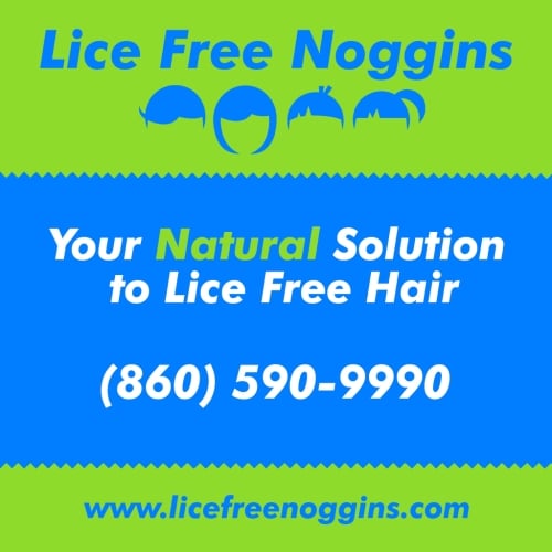 Lice Free Noggins Lice Treatment and Lice Removal 