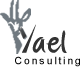 Yael Consulting