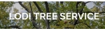 Lodi Tree Service