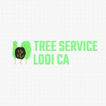 Lodi Tree Service Pros