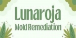 Lunaroja Mold Remediation