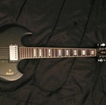 cognitive fungus productions