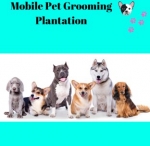 Mobile Pet Grooming Plantation