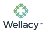 Wellacy Limited